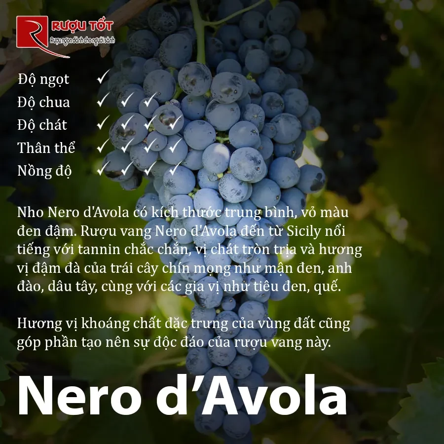 profile nho nero d avola