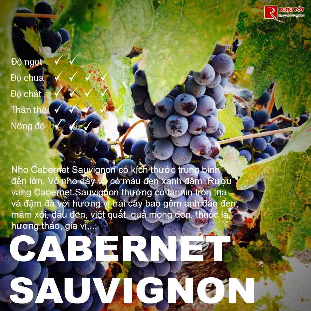 Rượu vang Cabernet Sauvignon
