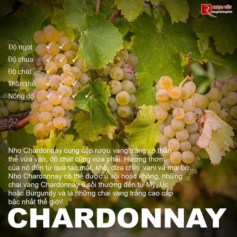 Rượu vang Chardonnay chính hãng giá tốt