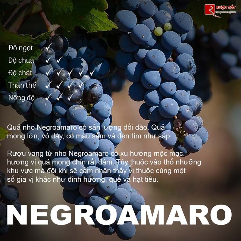 Rượu vang Negroamaro nhập khẩu giá tốt