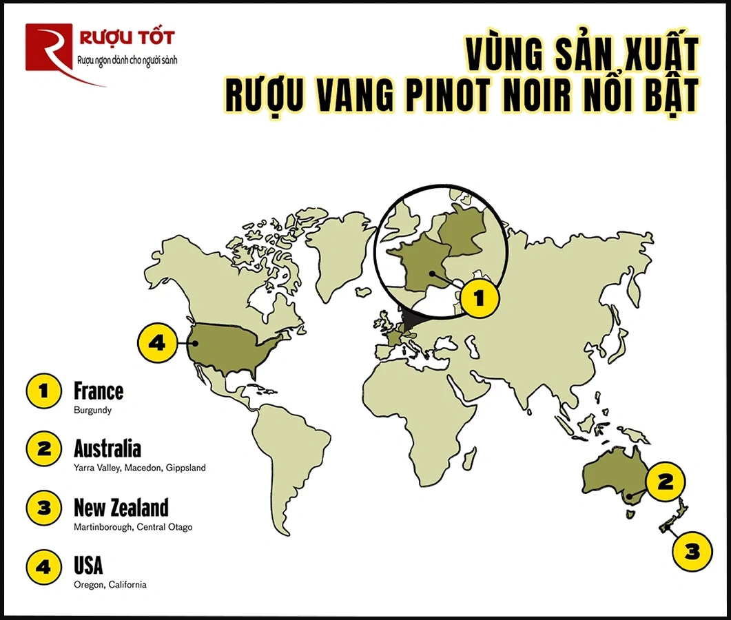 vung san xuat ruou vang Pinot Noir noi tieng