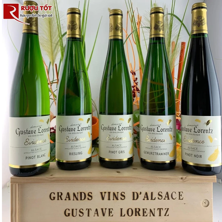 gustave lorentz riesling