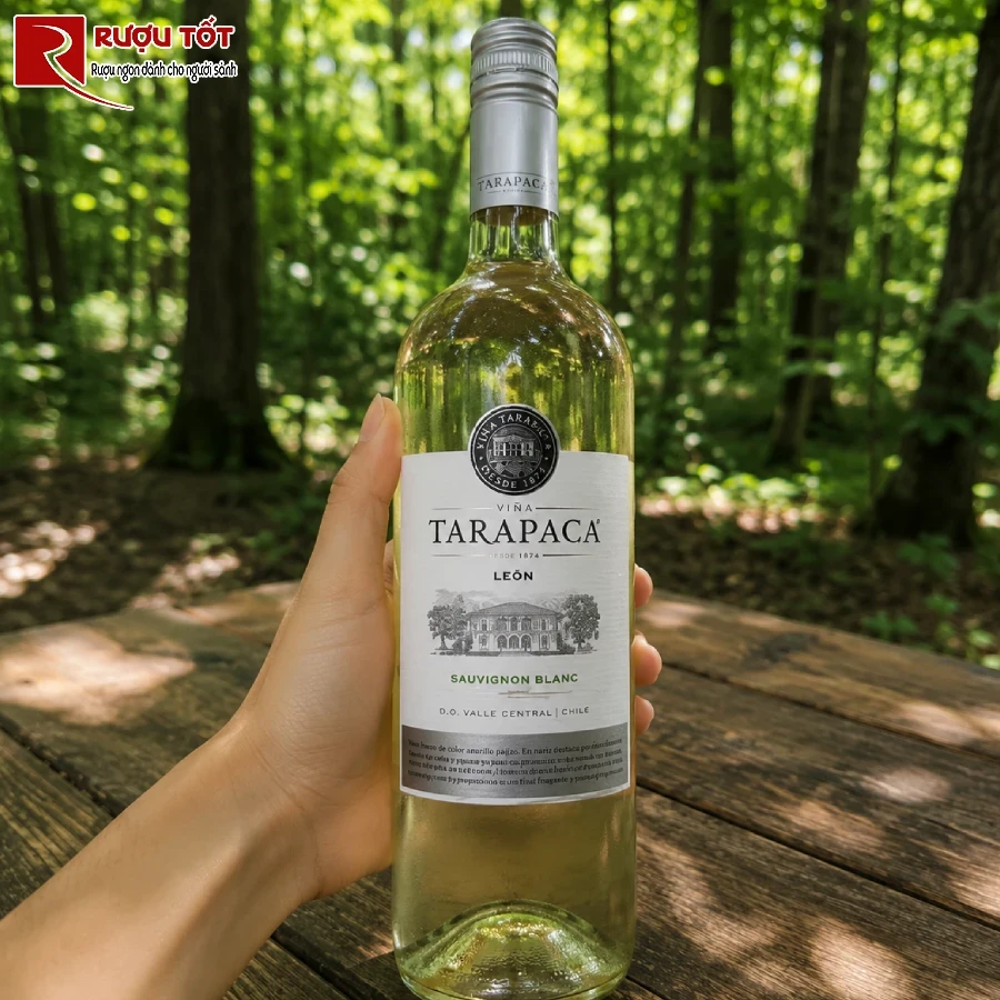 ruou leon de tarapaca sauvignon blanc