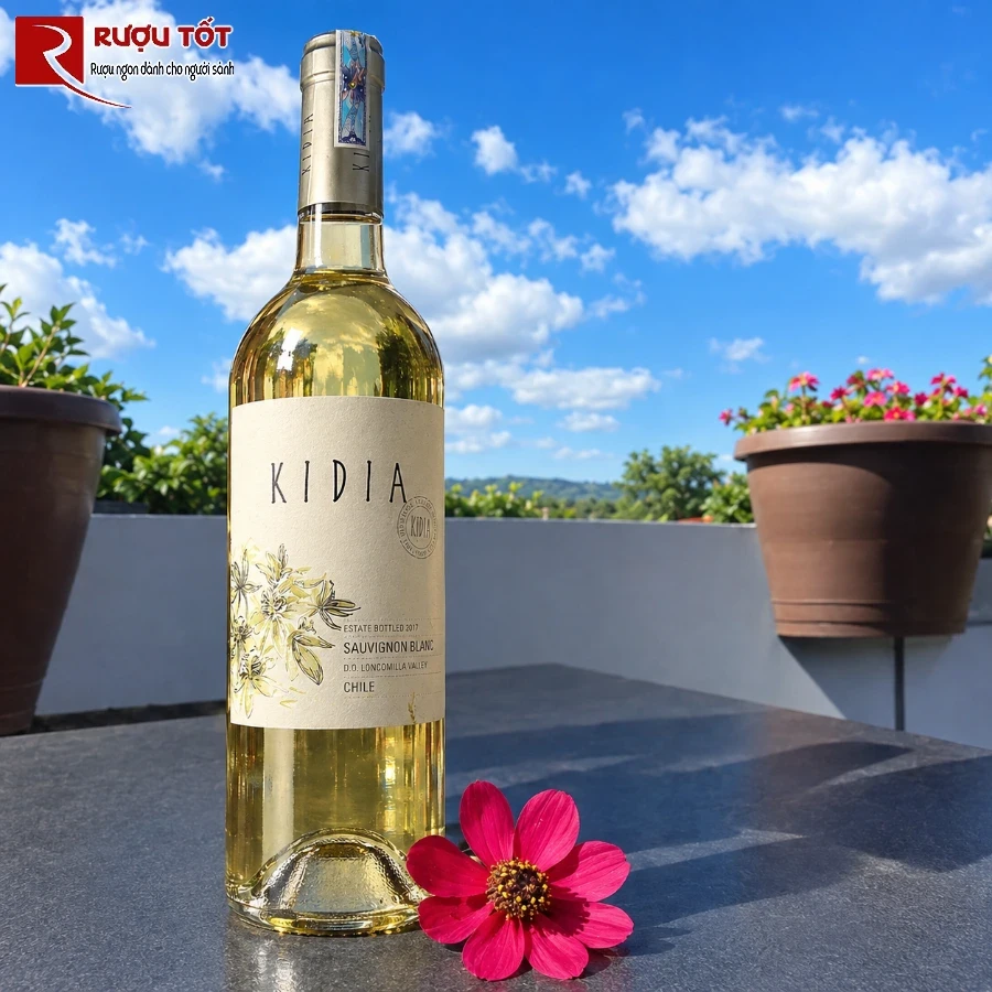 ruou vang kidia sauvignon blanc ngon