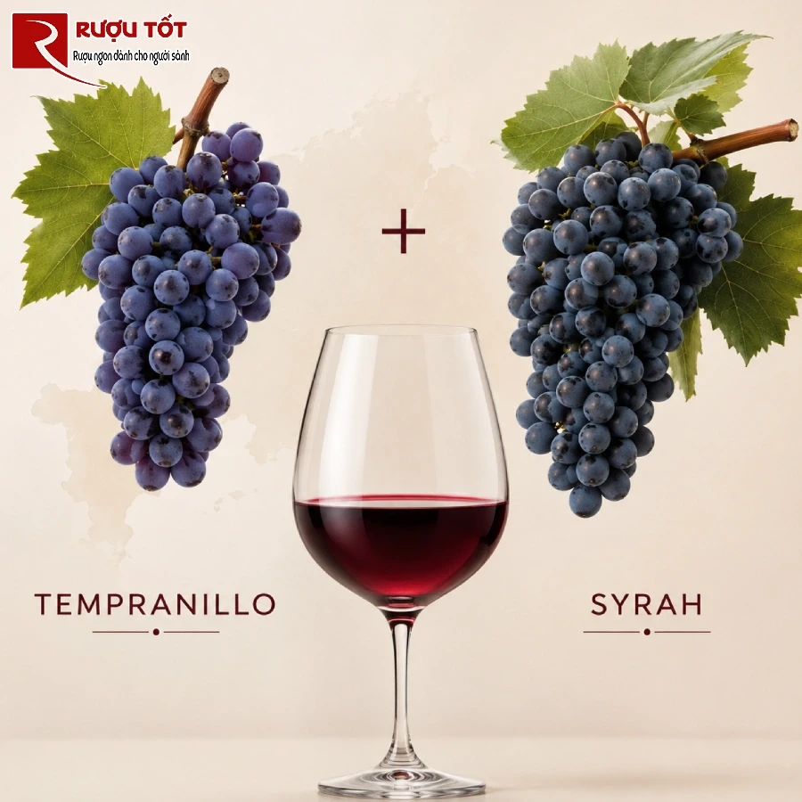 Tempranillo Syrah