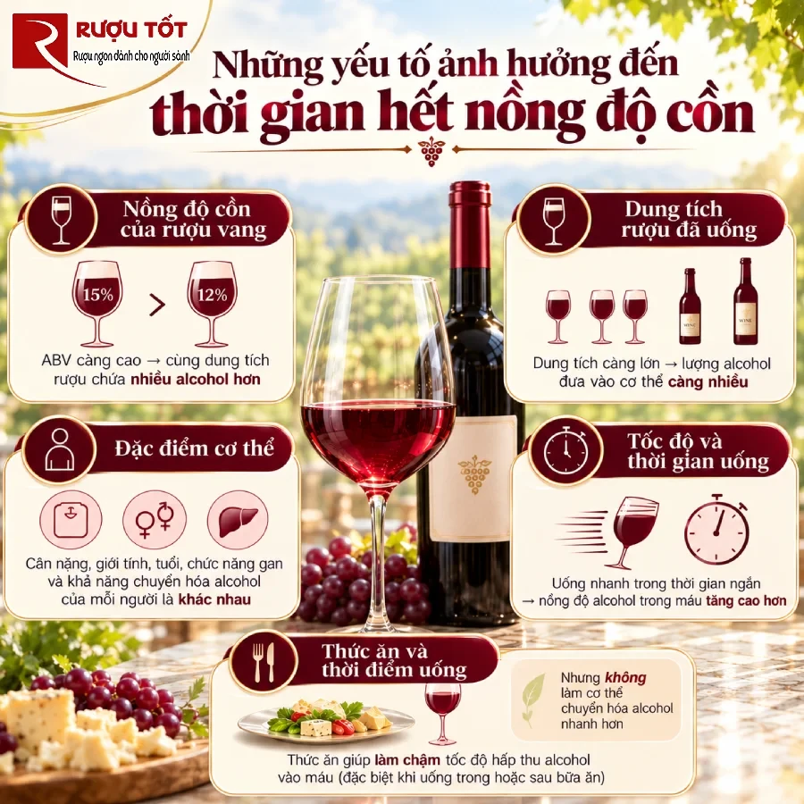 uong mot ly ruou vang bao lau het nong do con trong nguoi