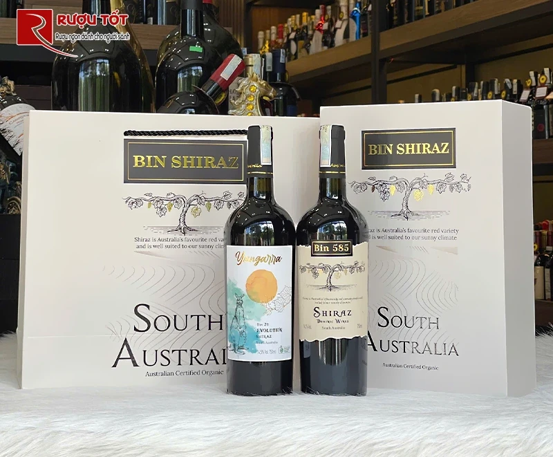 Hộp giấy đôi rượu vang Bin
