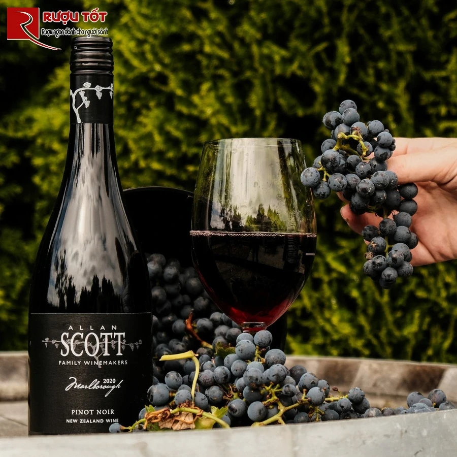 Allan Scott Pinot Noir tren ban tiec