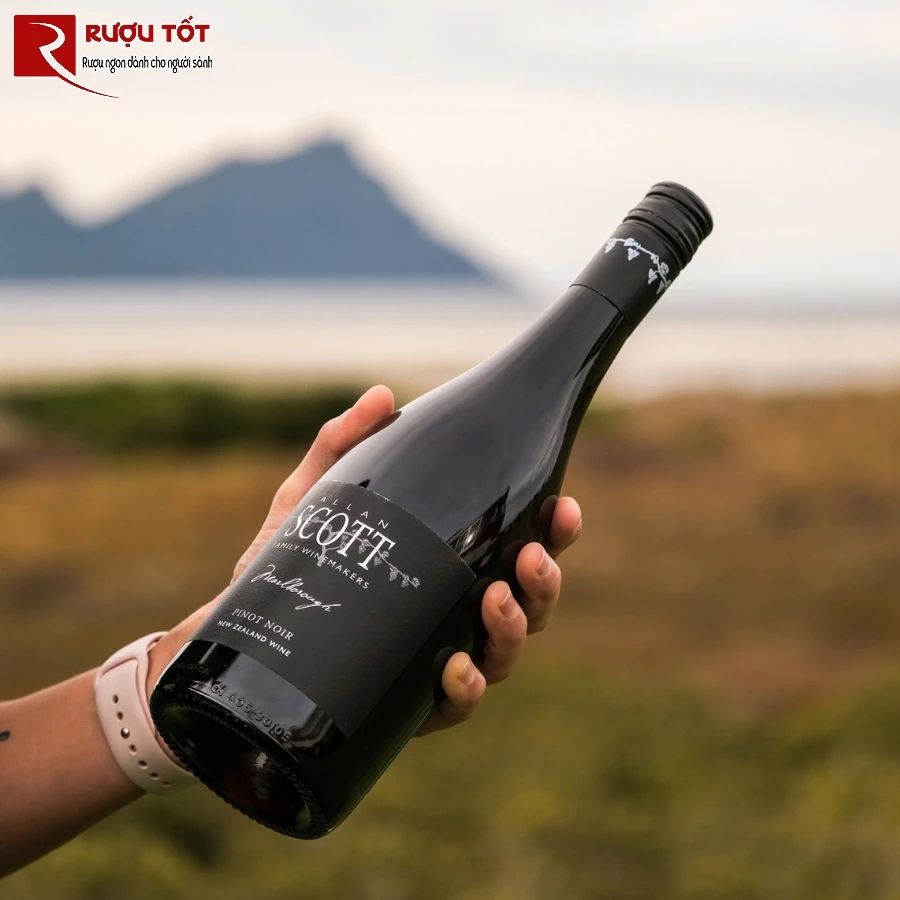 Allan Scott Pinot Noir vung Marlborough