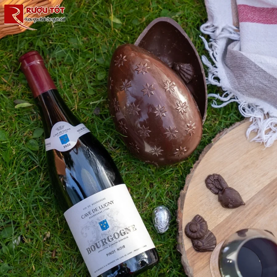 Cach thuong thuc Cave De Lugny Bourgogne Pinot Noir