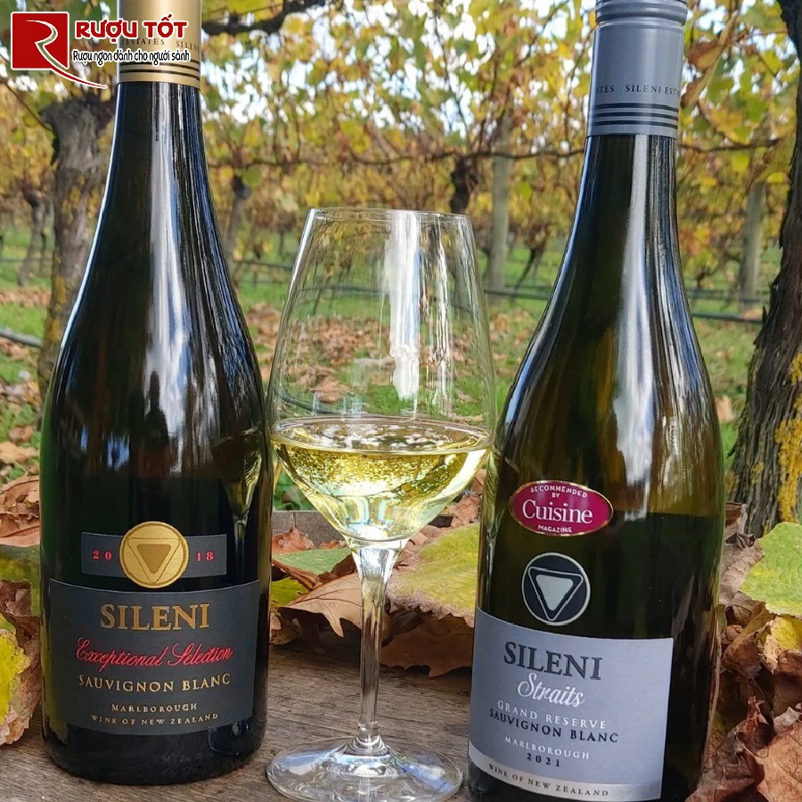 Huong vi ruou vang Sileni Sauvignon Blanc