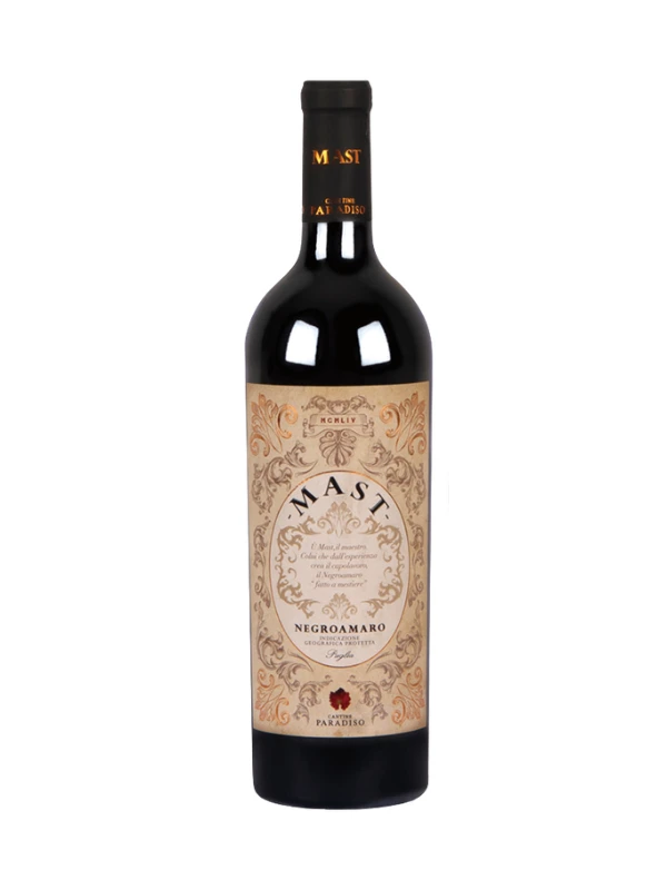 Vang Ý Mast Negroamaro Cantine Paradiso 15%