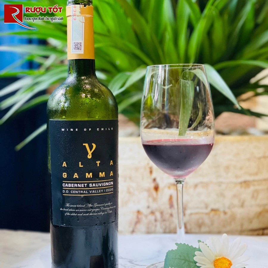 ruou vang Alta Gamma Cabernet Sauvignon