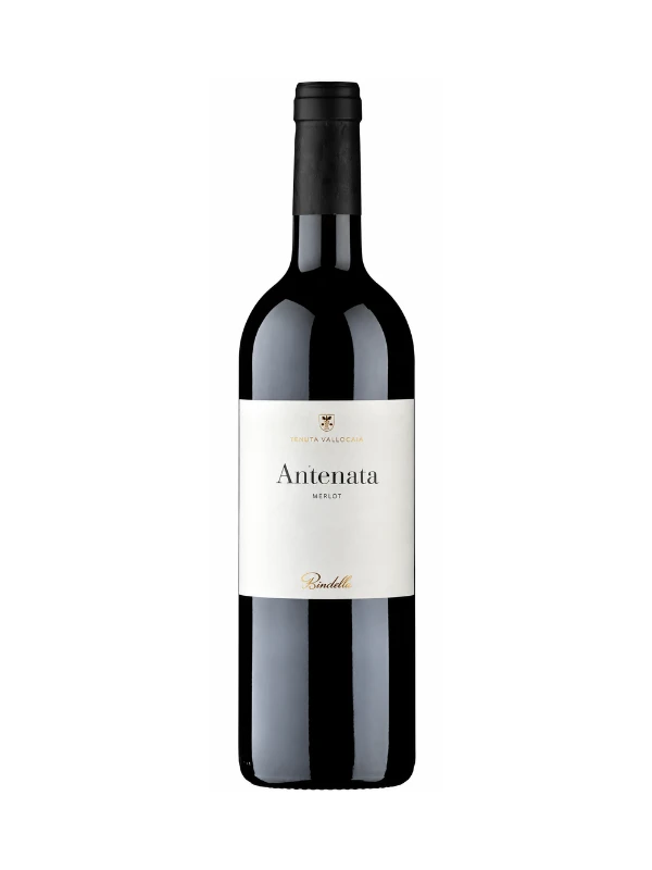 Rượu vang Antenata Toscana IGT Merlot