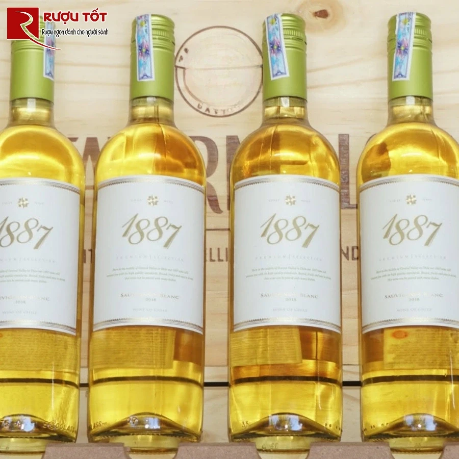 ruou vang Chile 1887 Sauvignon Blanc