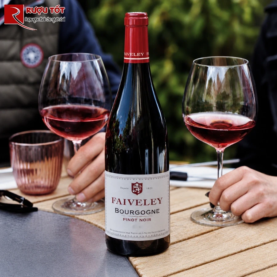 Ruou vang Domaine Faiveley Bourgogne Pinot Noir