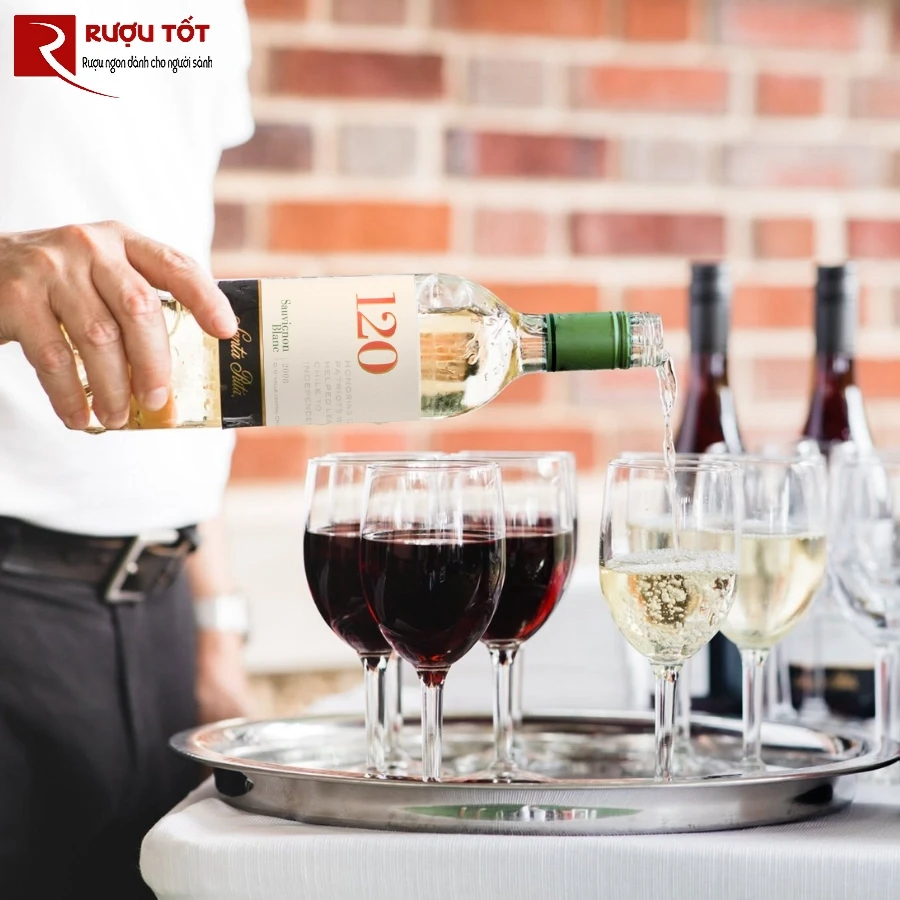 ruou vang Santa Rita 120 Sauvignon Blanc