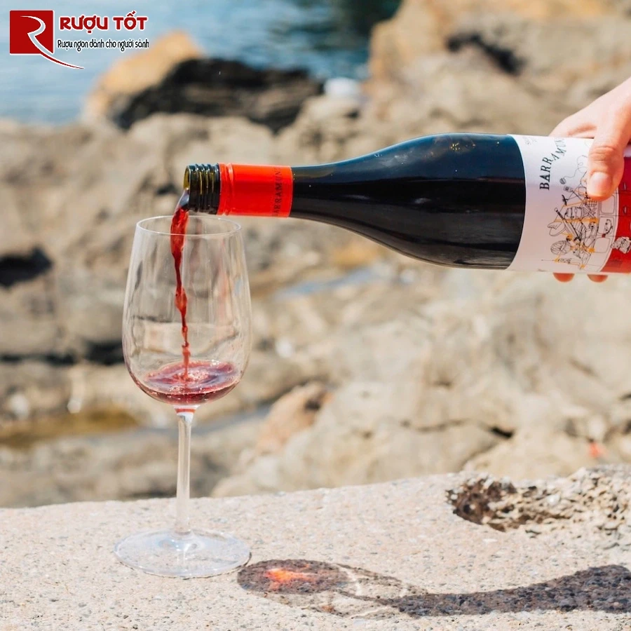 Ruou vang Uc Barramundi Shiraz