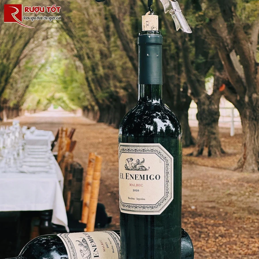 Vang Argentina El Enemigo Malbec
