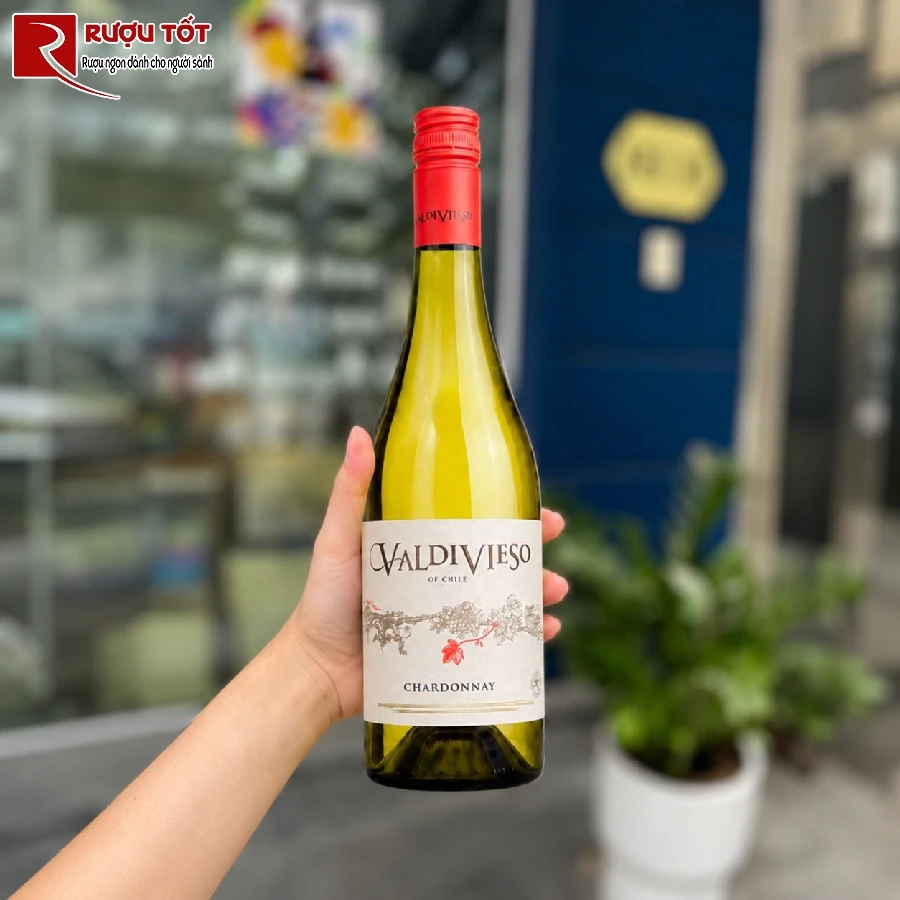 Vang Chile Valdivieso Chardonnay-1