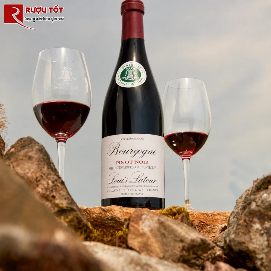 Vang Phap Louis Latour Bourgogne Pinot Noir