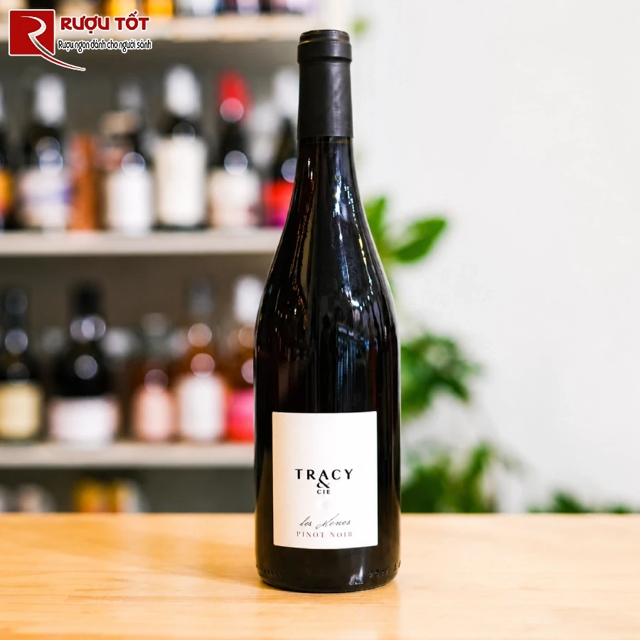 Vang Phap Tracy Cie Pinot Noir Loire Valley