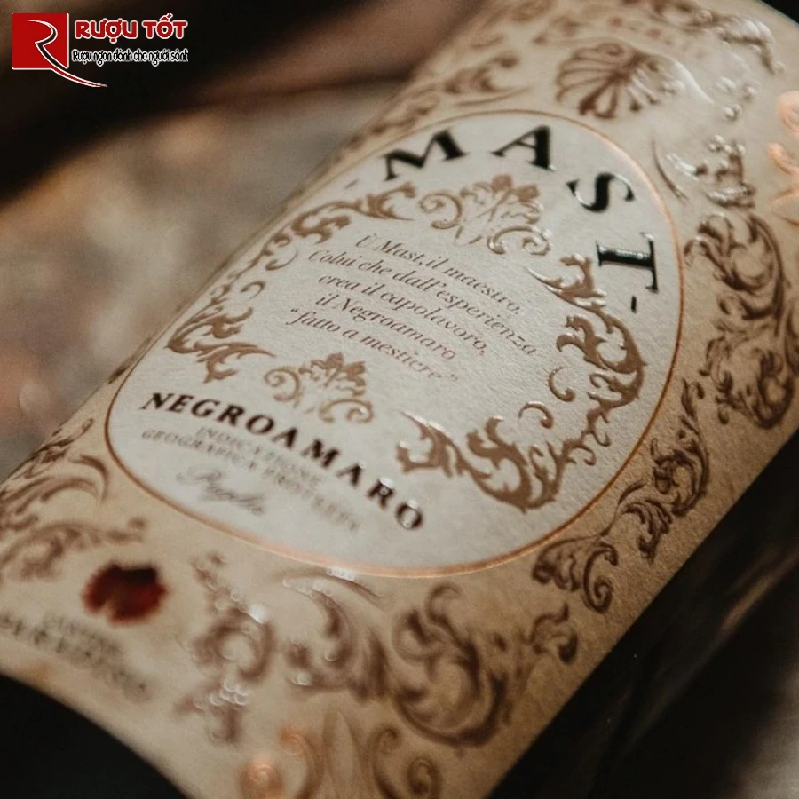 Vang Y Mast Negroamaro