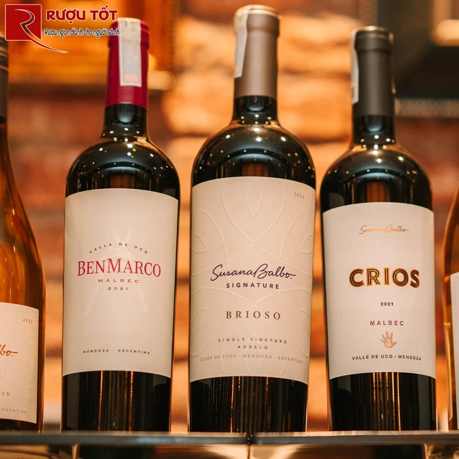 Rượu Benmarco Malbec Los Chacayes