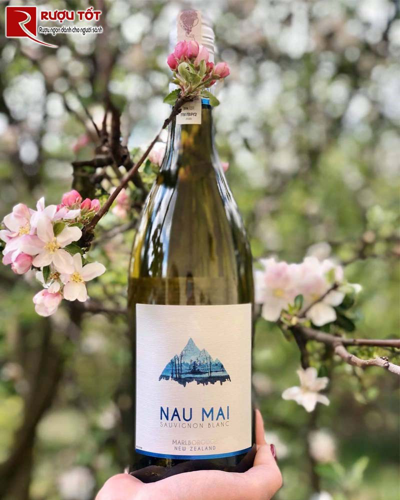vang nau mai-1