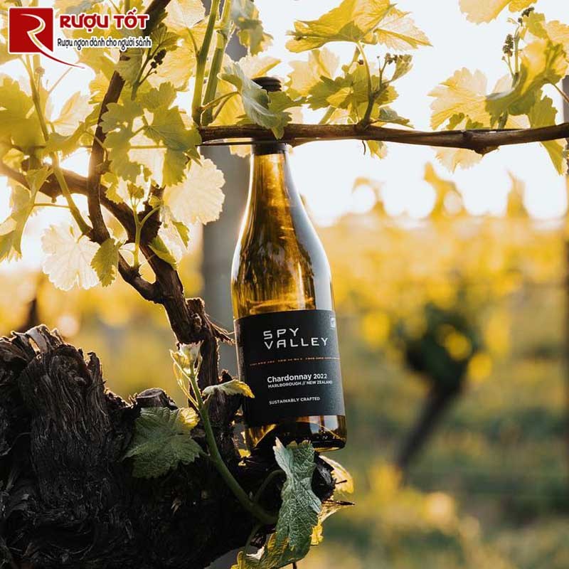 Vang Spy Valley Chardonnay