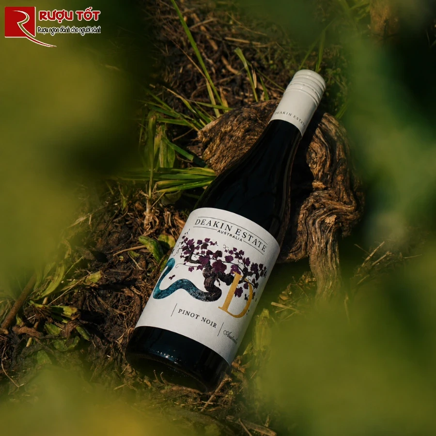 2_deakin estate pinot noir
