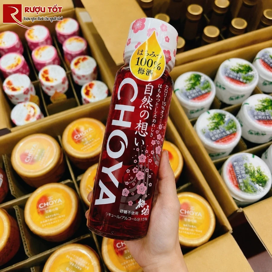 aavatar ruou mo choya extra shiso