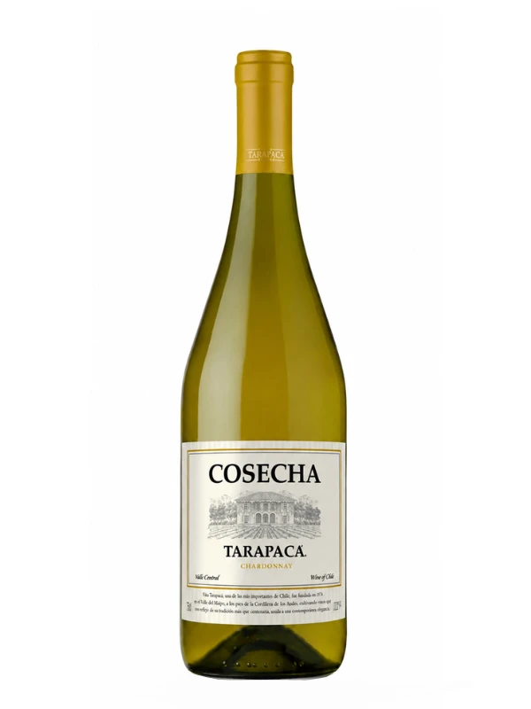 Rượu vang Tarapaca Cosecha Chardonnay 13%