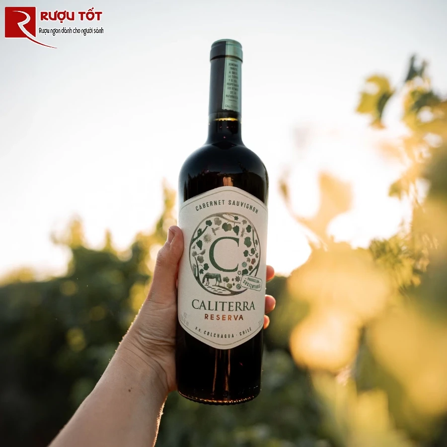 caliterra reserva cabernet sauvignon 1