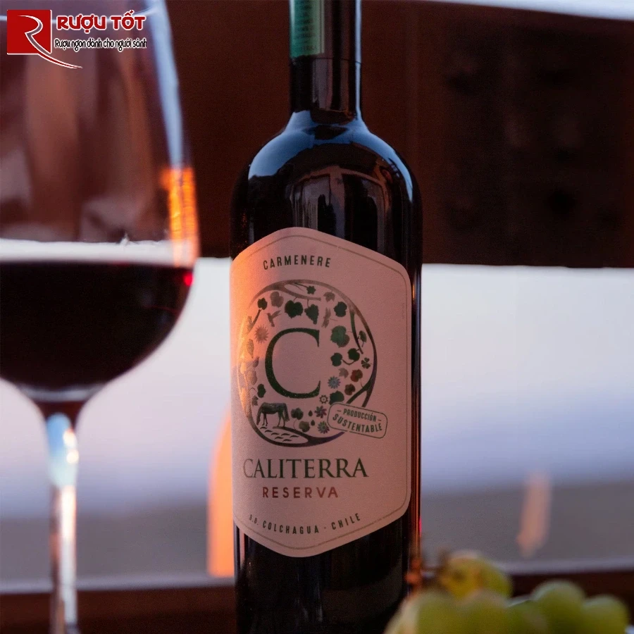 caliterra reserva carmenere 2