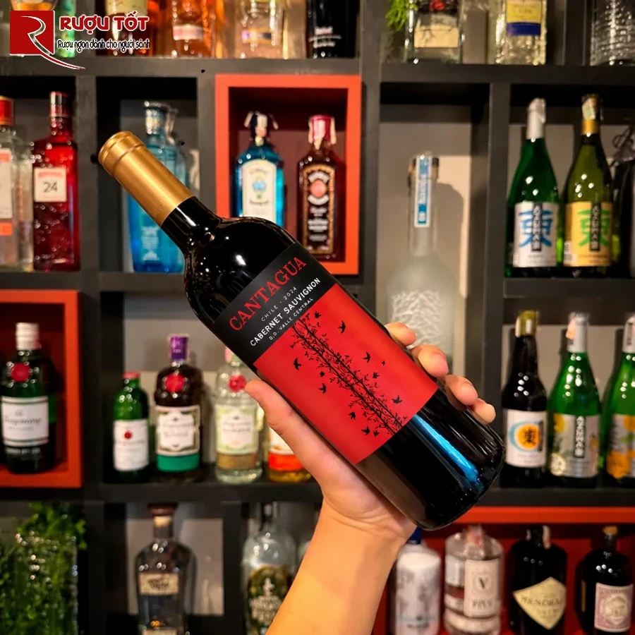 cantagua cabernet sauvignon 1
