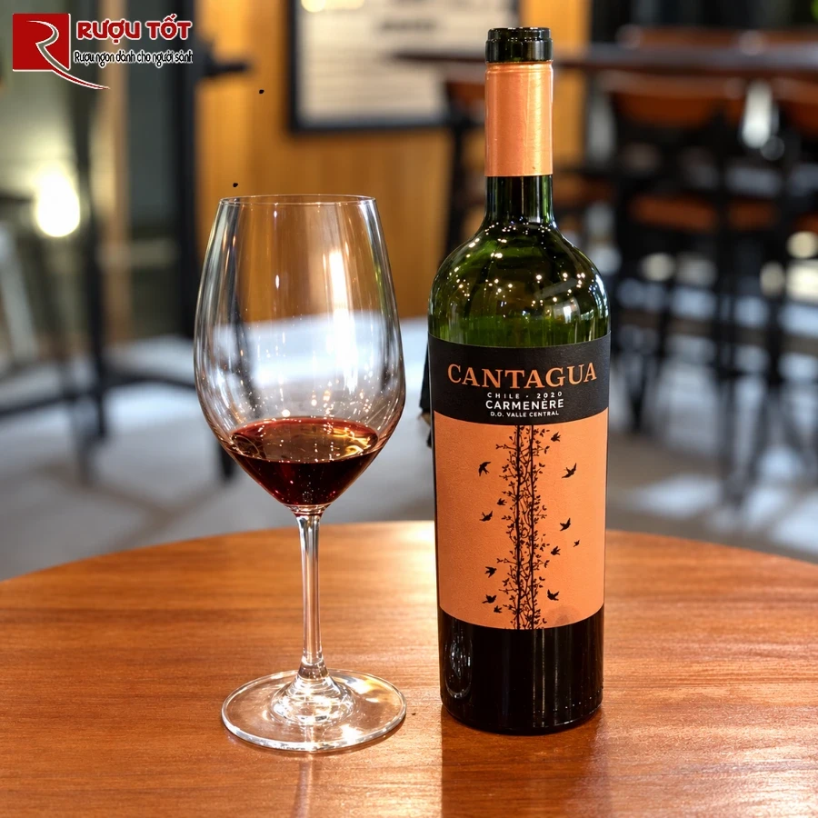 cantagua carmenere 2