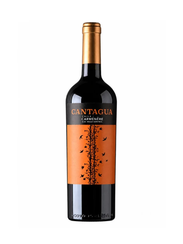 Vang Chile Cantagua Carmenere 750ml
