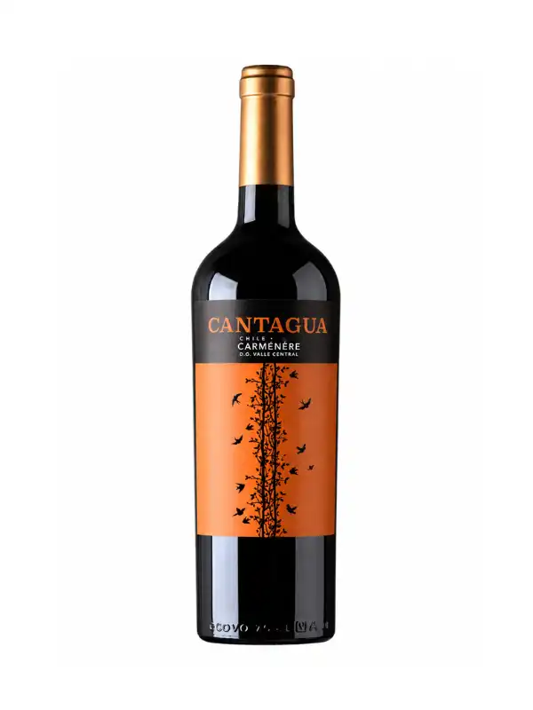 Vang Chile Cantagua Carmenere 750ml