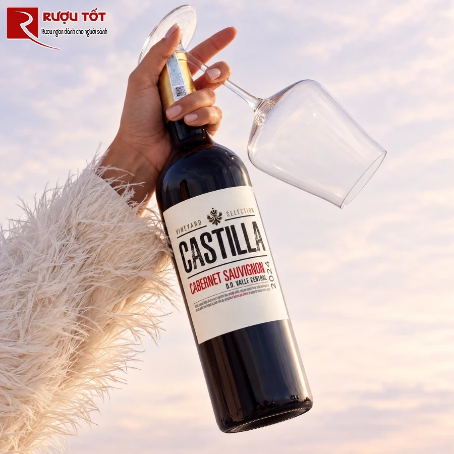castilla cabernet sauvignon 2