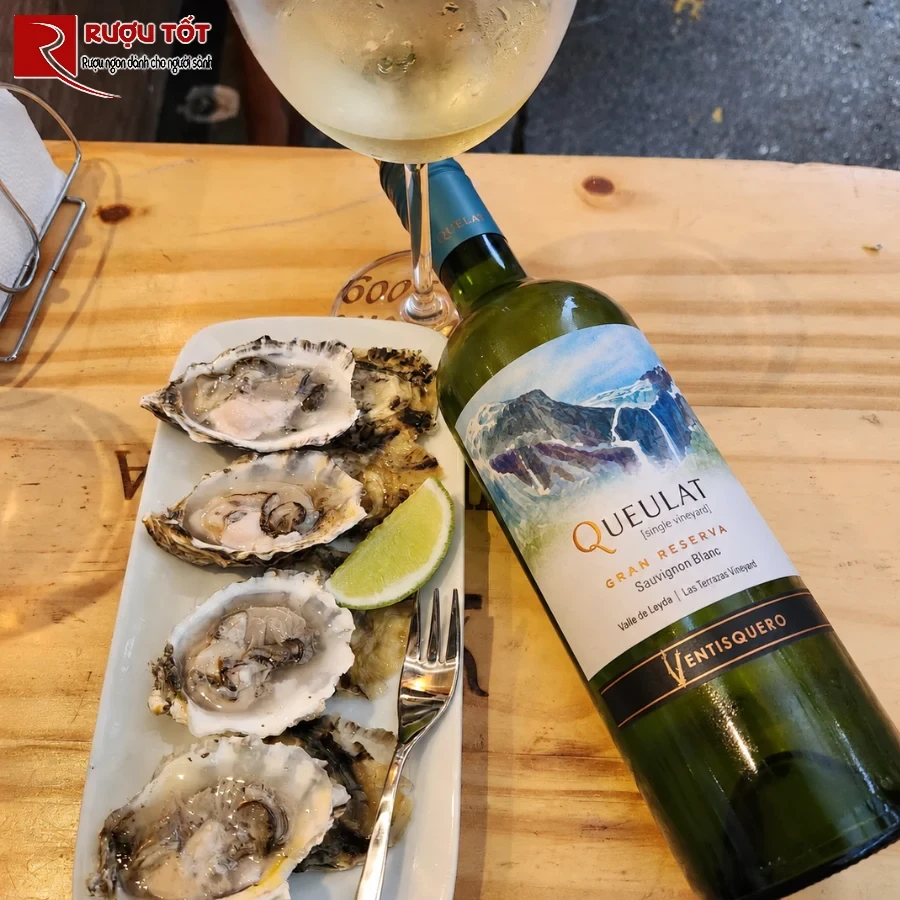 chai vang queulat gran reserva sauvignon blanc