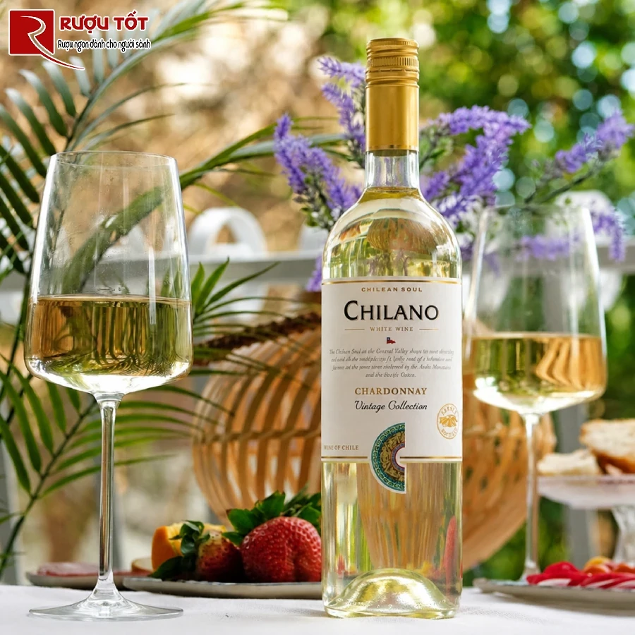 chilano chardonnay 1