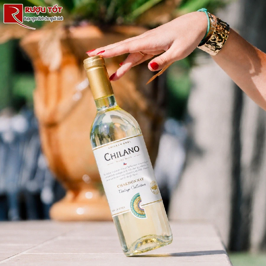 chilano chardonnay 3
