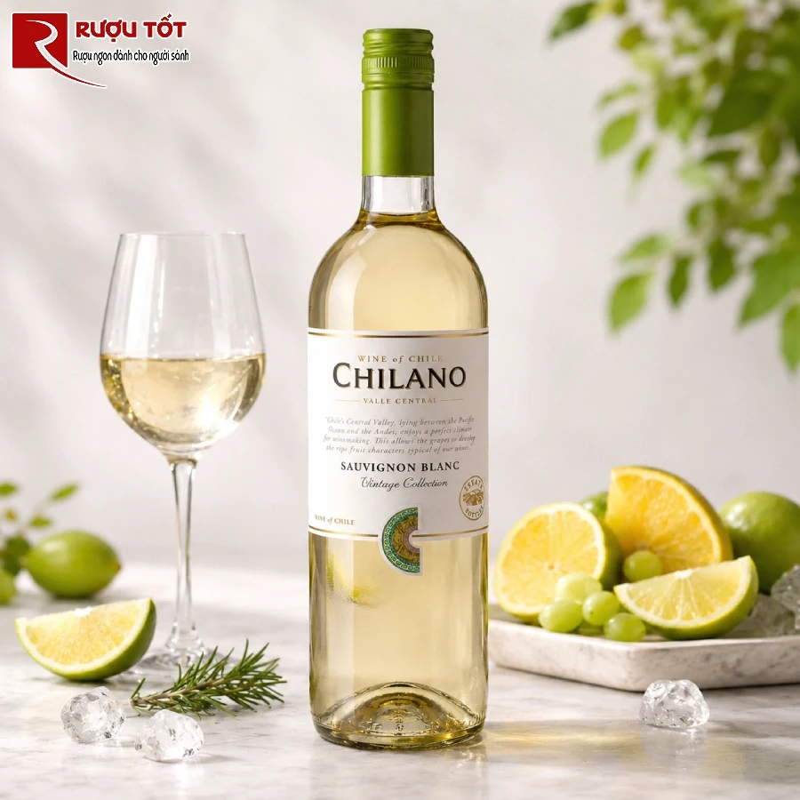chilano sauvignon blanc 1