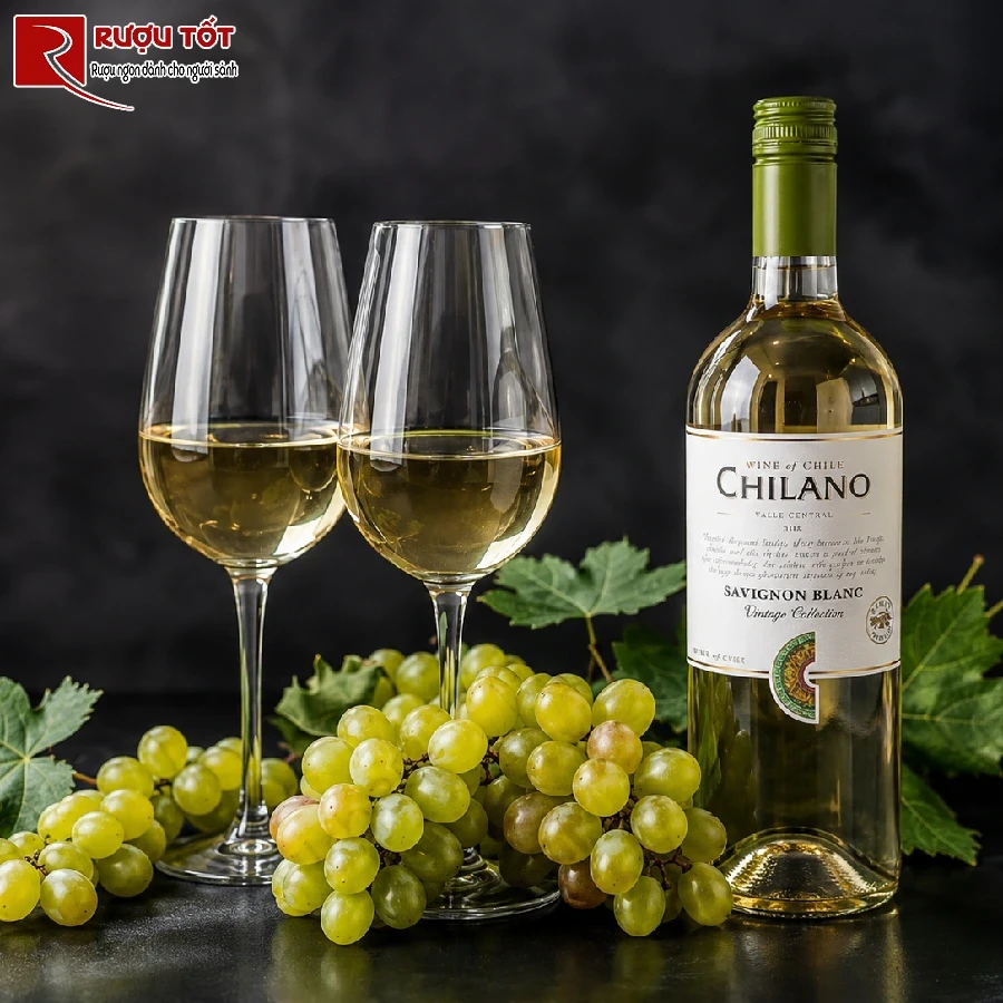 chilano sauvignon blanc 2