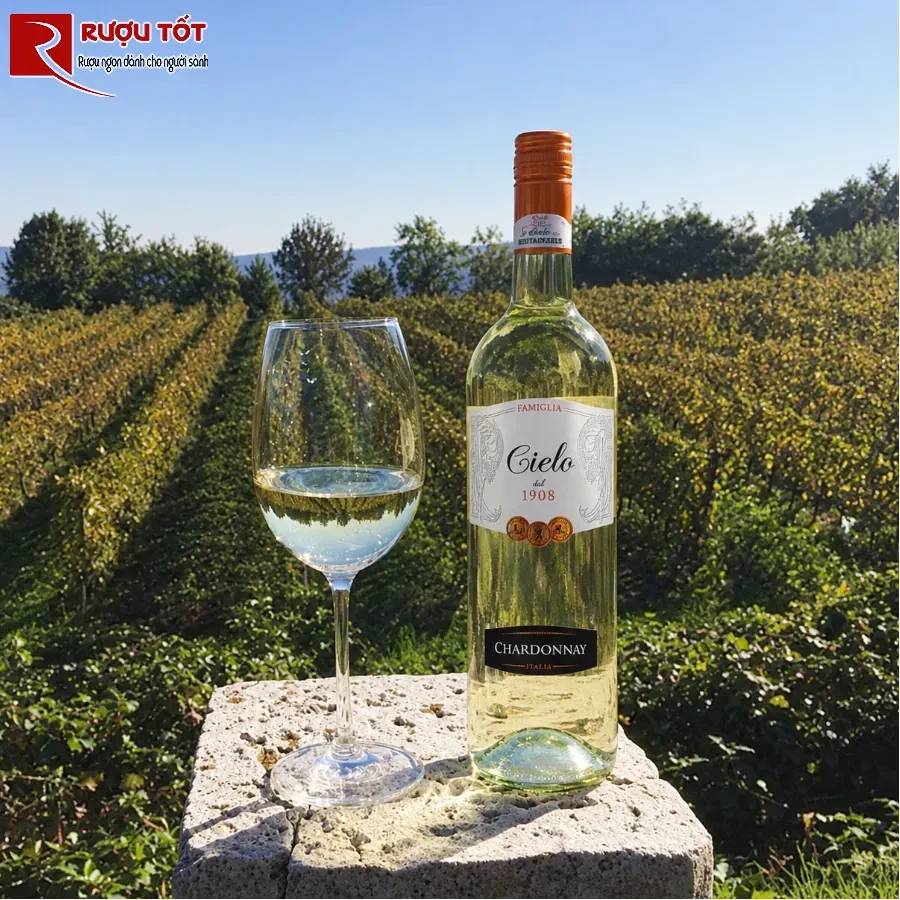 cielo chardonnay 2