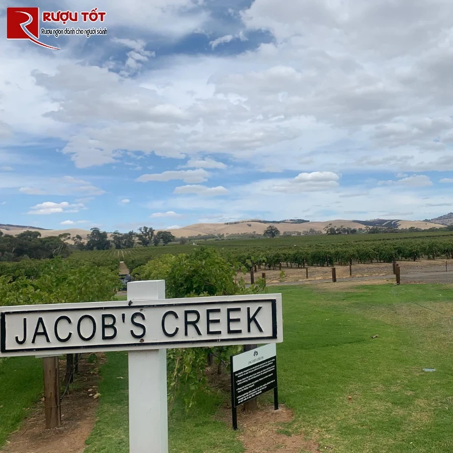 jacob creek moscato thuong hieu va triet ly san xuat