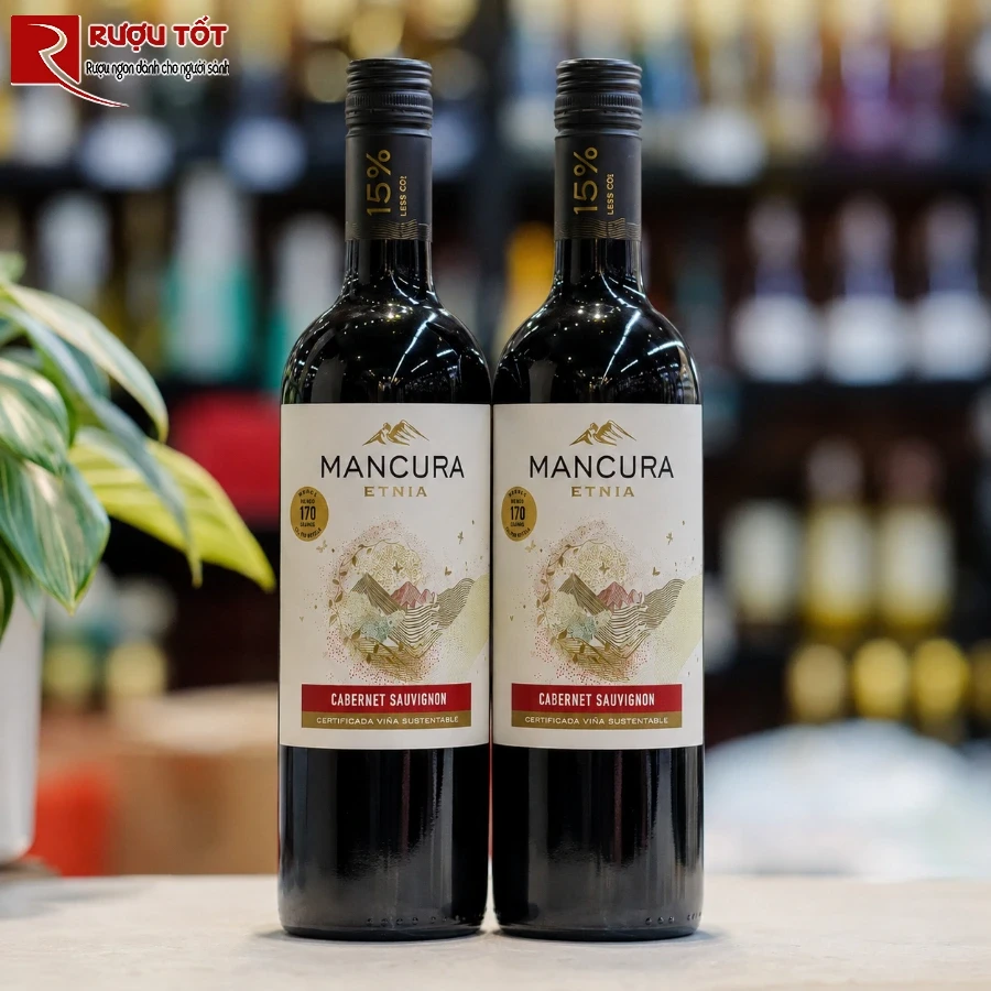 mancura etnia cabernet sauvignon 1