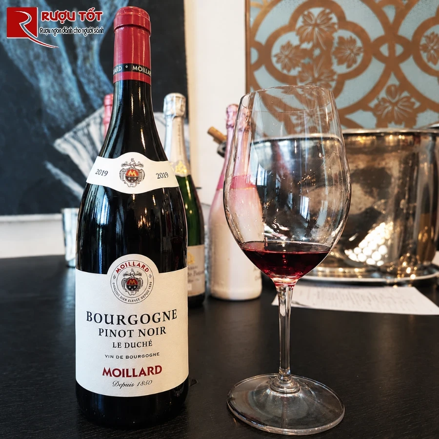 moillard bourgogne pinot noir 1