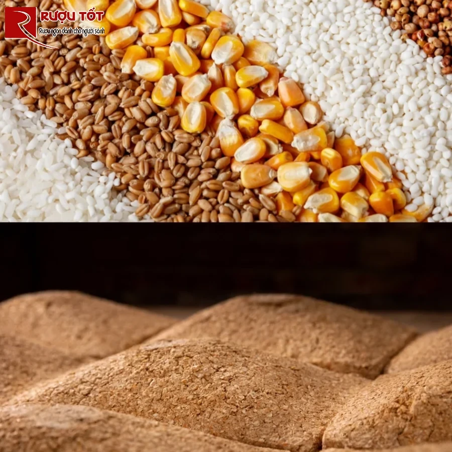 nguyen lieu lam ruou ngu luong dich